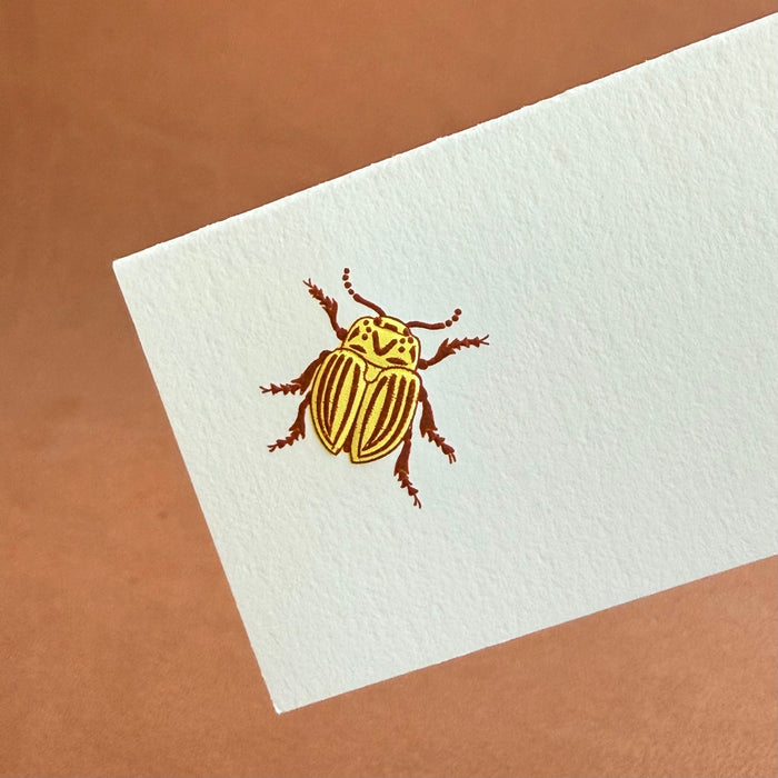 Beetle Place Cards