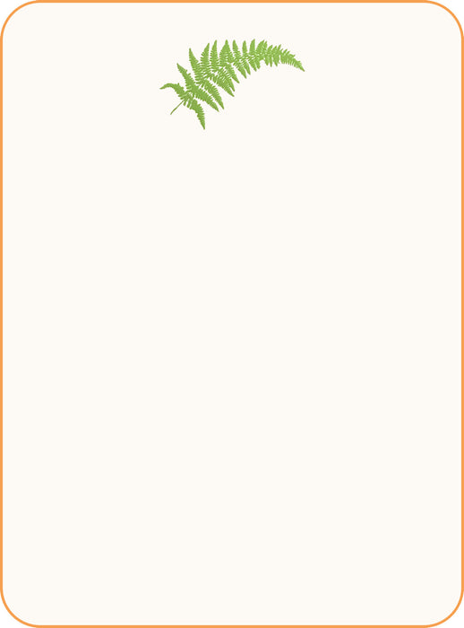 Fern Note Cards