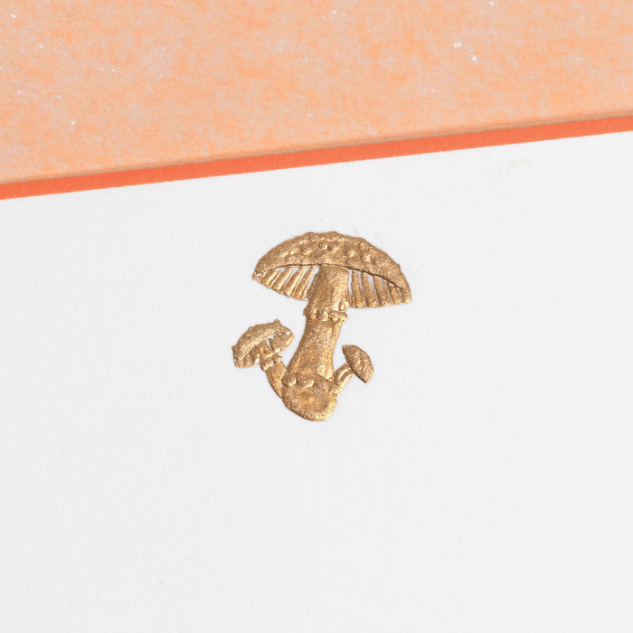 Mushrooms Note Cards