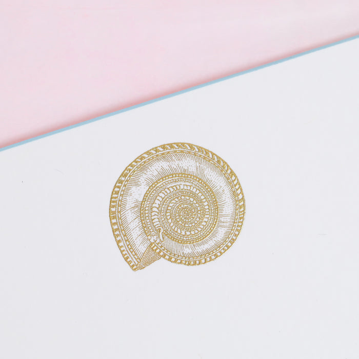 Nautilus Shell Note Cards